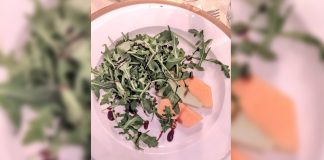 Convidada reclama de “prato vegano” em festa de casamento e post viraliza: ‘Só tinha rúcula e melão’