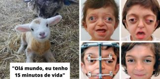 12 histórias adoráveis que farão você levantar sua autoestima