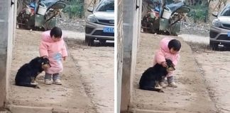 [VIDEO] Menina de 2 anos cobre orelha de cãozinho afim de protegê-lo do barulho de fogos de artifício