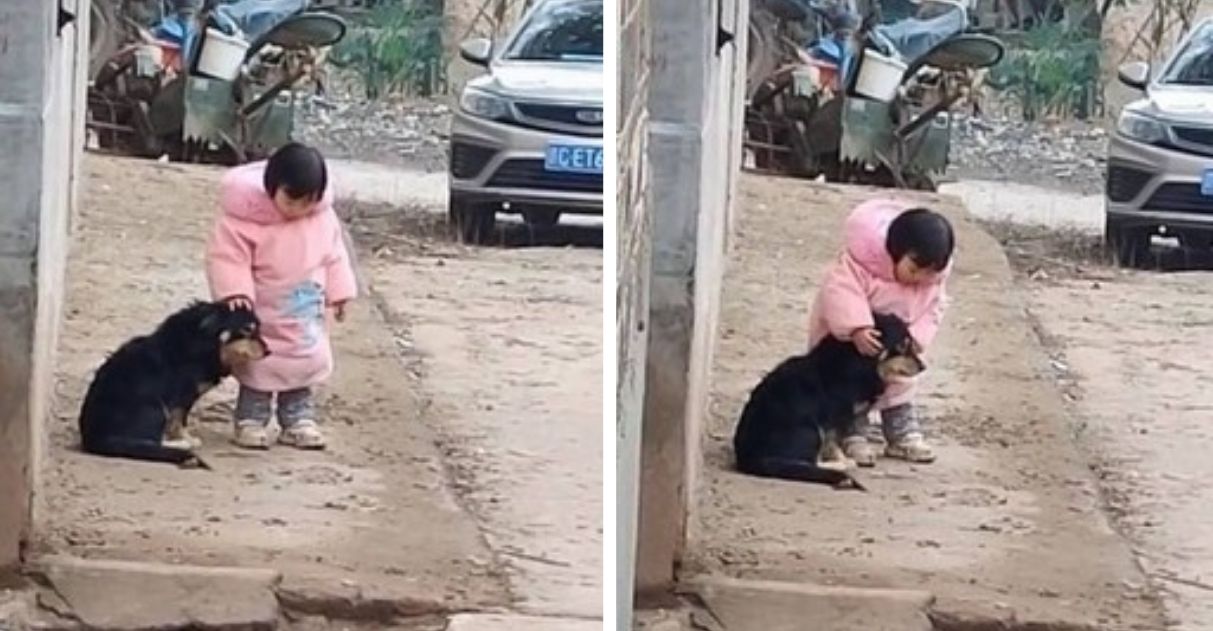 agrandeartedeserfeliz.com - [VIDEO] Menina de 2 anos cobre orelha de cãozinho afim de protegê-lo do barulho de fogos de artifício