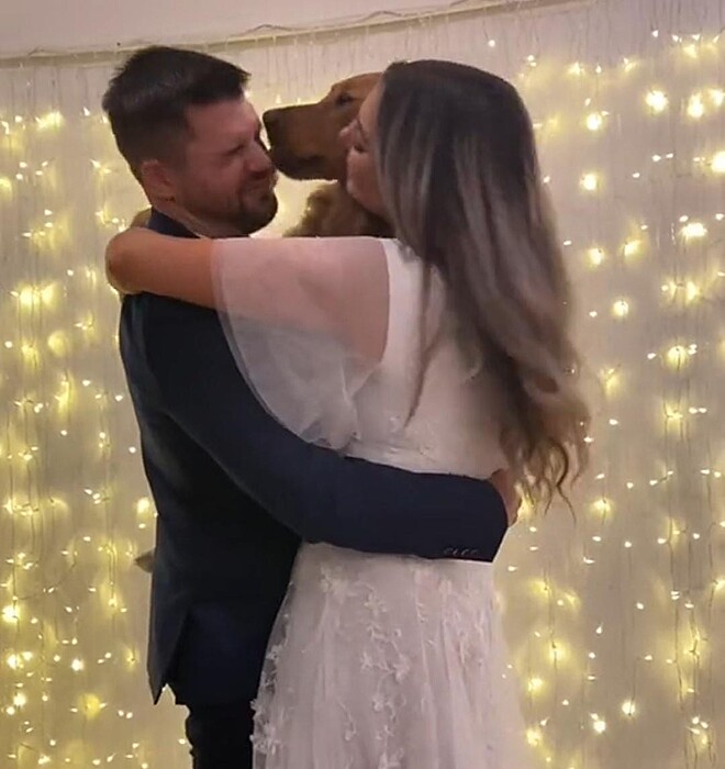 agrandeartedeserfeliz.com - Cãozinho dança valsa de casamento com tutores e viraliza nas redes sociais [VIDEO]