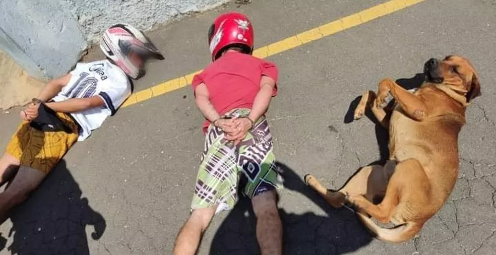 agrandeartedeserfeliz.com - Cão deita ao lado de suspeitos durante abordagem policial no Paraná, e foto viraliza