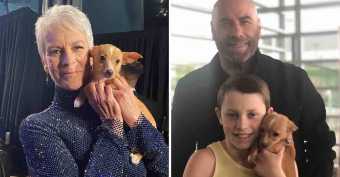 Incentivado pelo filho, John Travolta adota cãozinho que foi apresentado por Jamie Lee Curtis no Oscar