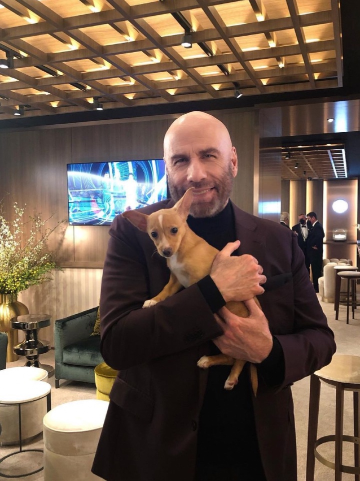 agrandeartedeserfeliz.com - Incentivado pelo filho, John Travolta adota cãozinho que foi apresentado por Jamie Lee Curtis no Oscar