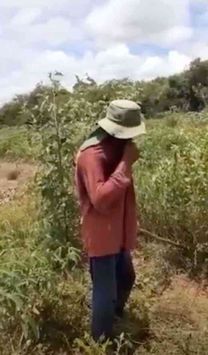 agrandeartedeserfeliz.com - "Orgulhoso de você": Jovem grava momento em que conta ao pai agricultor que passou em medicina [VIDEO]