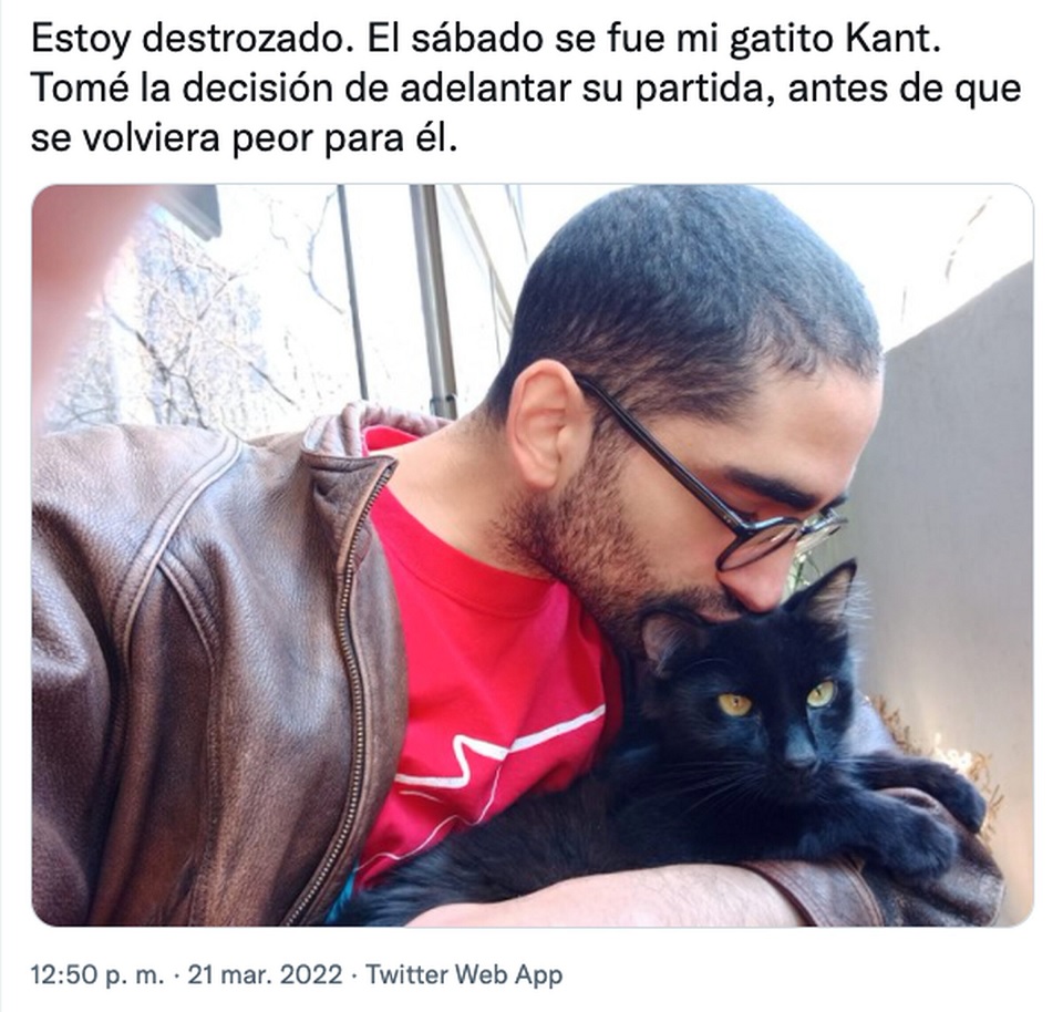 agrandeartedeserfeliz.com - "Não queria vê-lo sofrer mais", diz jovem que 'adiantou' partida de seu gatinho com câncer terminal