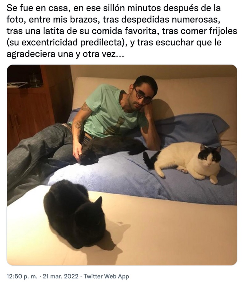 agrandeartedeserfeliz.com - "Não queria vê-lo sofrer mais", diz jovem que 'adiantou' partida de seu gatinho com câncer terminal