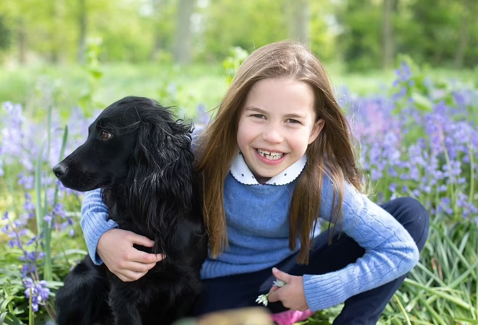 agrandeartedeserfeliz.com - Radiante! Princesa Charlotte comemora 7 anos de vida com adorável sessão de fotos