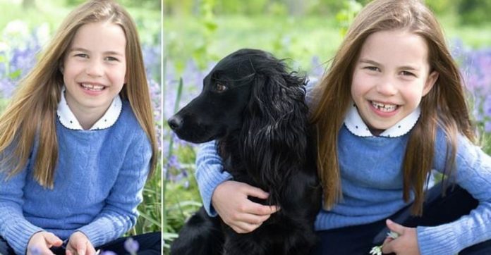 Radiante! Princesa Charlotte comemora 7 anos de vida com adorável sessão de fotos