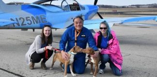Piloto aposentado usa antigo avião militar para resgatar cães vítimas de maus-tratos