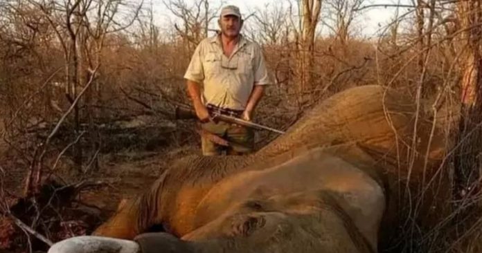 Caçador de animais ameaçados de extinção é assassinado a tiros na África do Sul