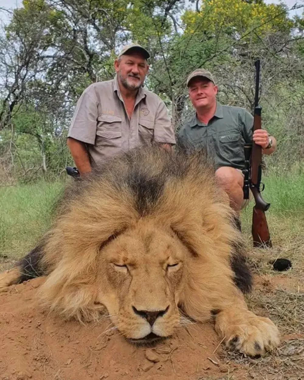 agrandeartedeserfeliz.com - Caçador de animais ameaçados de extinção é assassinado a tiros na África do Sul