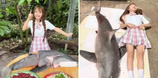 Jovem choca ao abater e cozinhar tubarão-branco na China, onde caça é ilegal