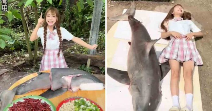 Jovem choca ao abater e cozinhar tubarão-branco na China, onde caça é ilegal