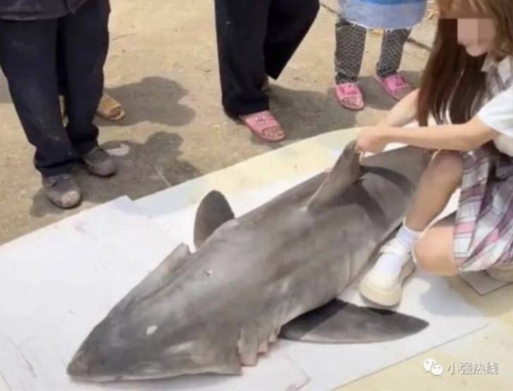 agrandeartedeserfeliz.com - Jovem choca ao abater e cozinhar tubarão-branco na China, onde caça é ilegal