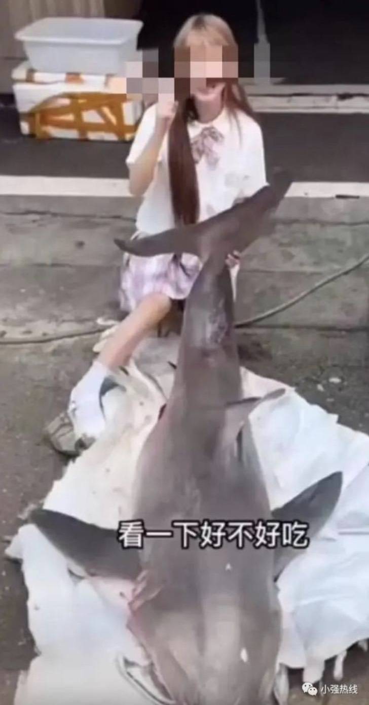 agrandeartedeserfeliz.com - Jovem choca ao abater e cozinhar tubarão-branco na China, onde caça é ilegal