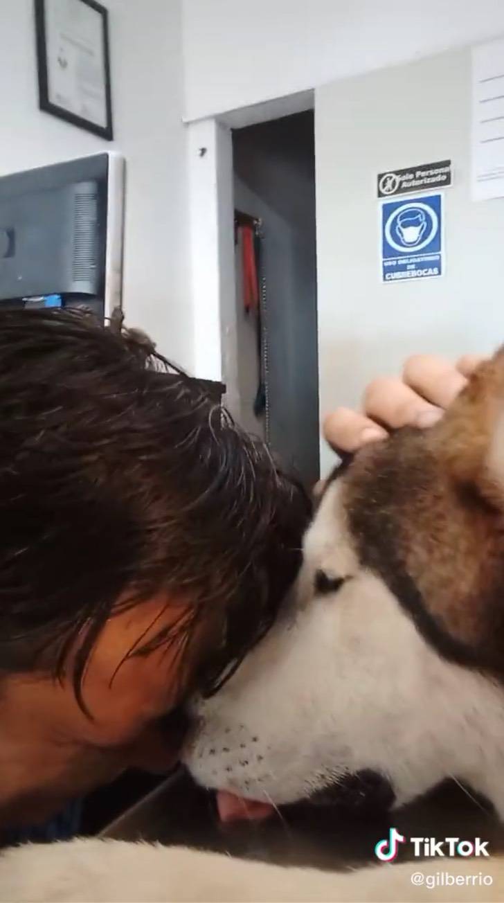 agrandeartedeserfeliz.com - Em vídeo emocionante, jovem se despede de cachorrinho que o acompanhou a vida toda: 'Parceiro sempre'