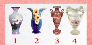 Escolha o vaso e descubra o que a faz destacar-se em meio à multidão