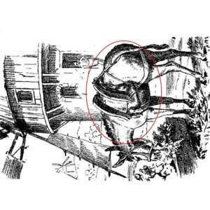 agrandeartedeserfeliz.com - Voc&ecirc; consegue descobrir o rosto escondido nesta foto?